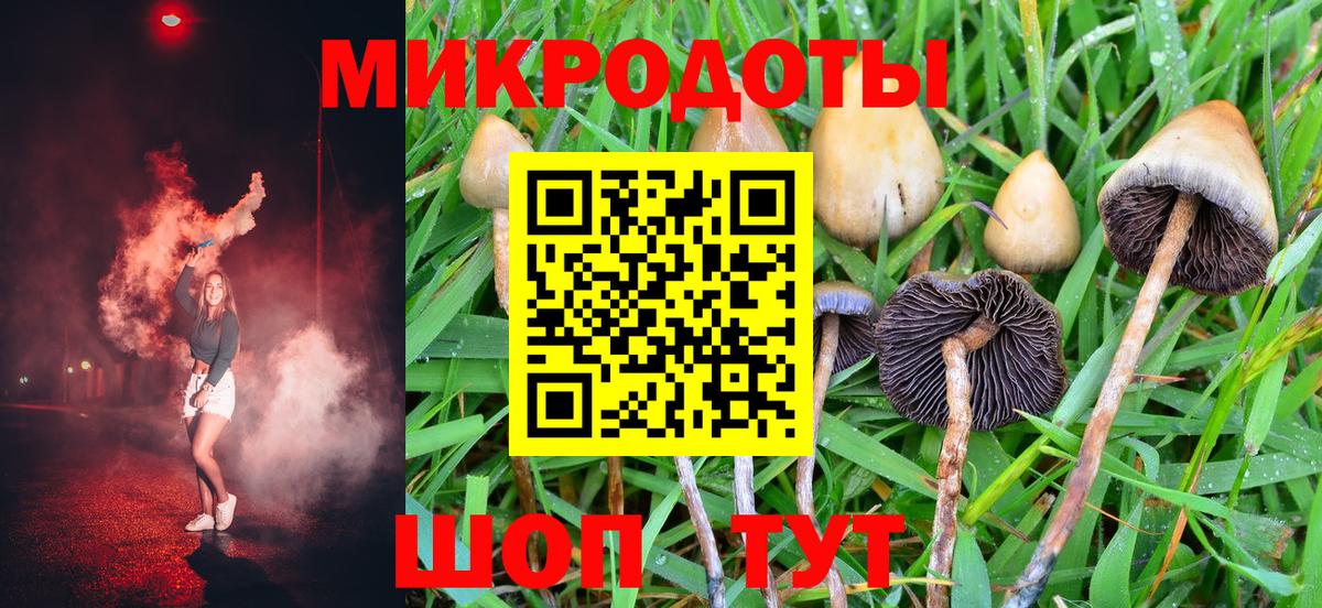 Псилоцибиновые грибы Cubensis Кудымкар