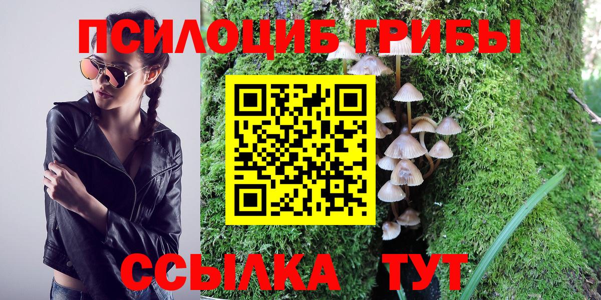 Галлюциногенные грибы Psilocybe  Галлюциногенные грибы MAGIC MUSHROOMS  Вход с VPN  Кудымкар 